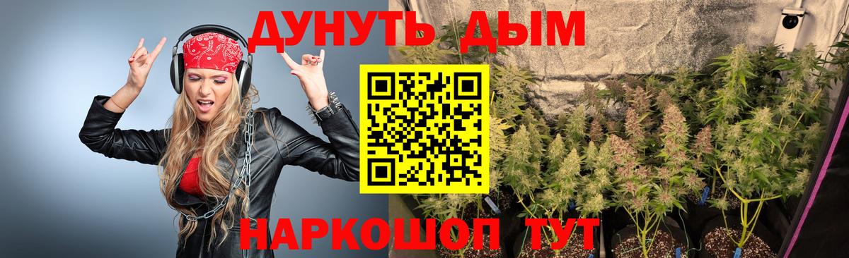 Канабис план  Марихуана ГИДРОПОН  Вход с VPN  Пыть-Ях 